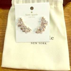 Kate spade earrings